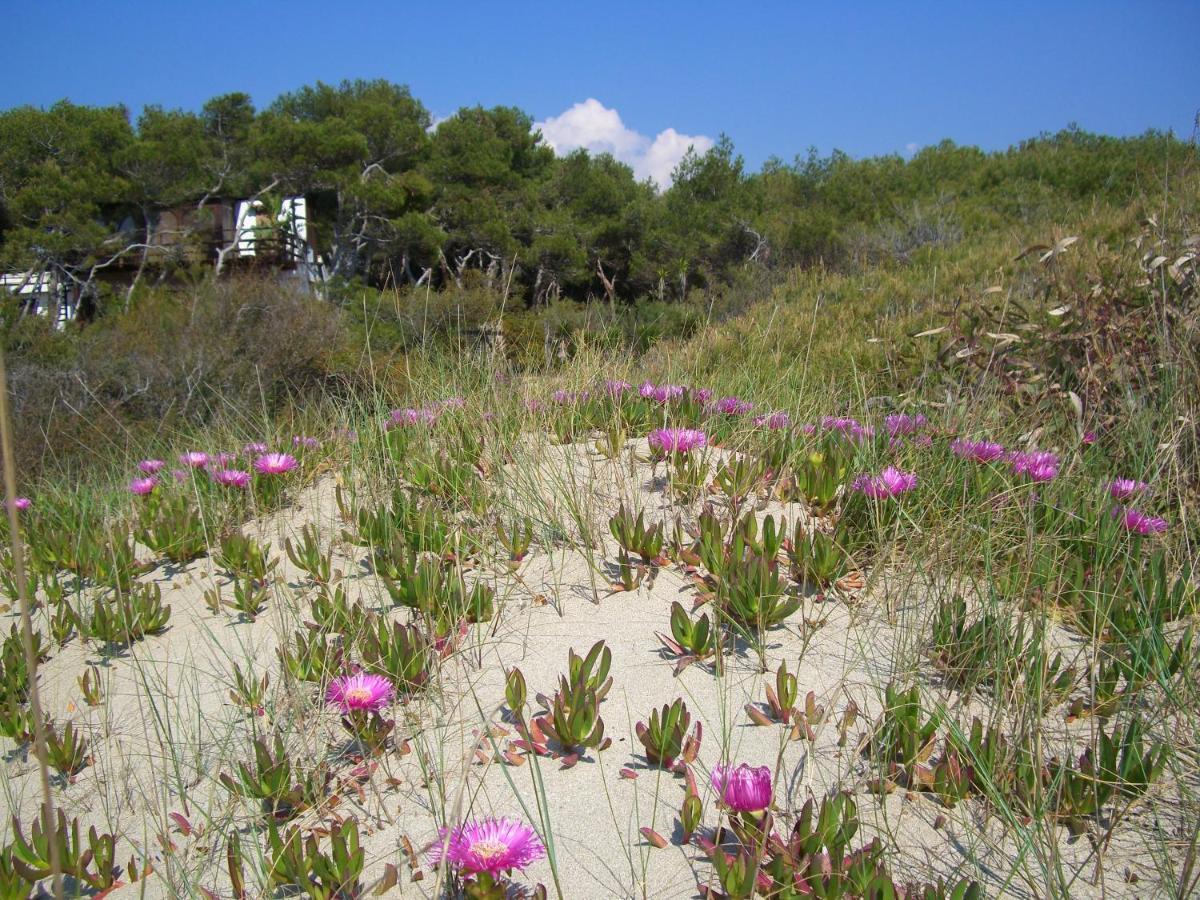 Esclusiva Suite Il Nido D'Amore Sul Mare Gallipoli Exterior foto