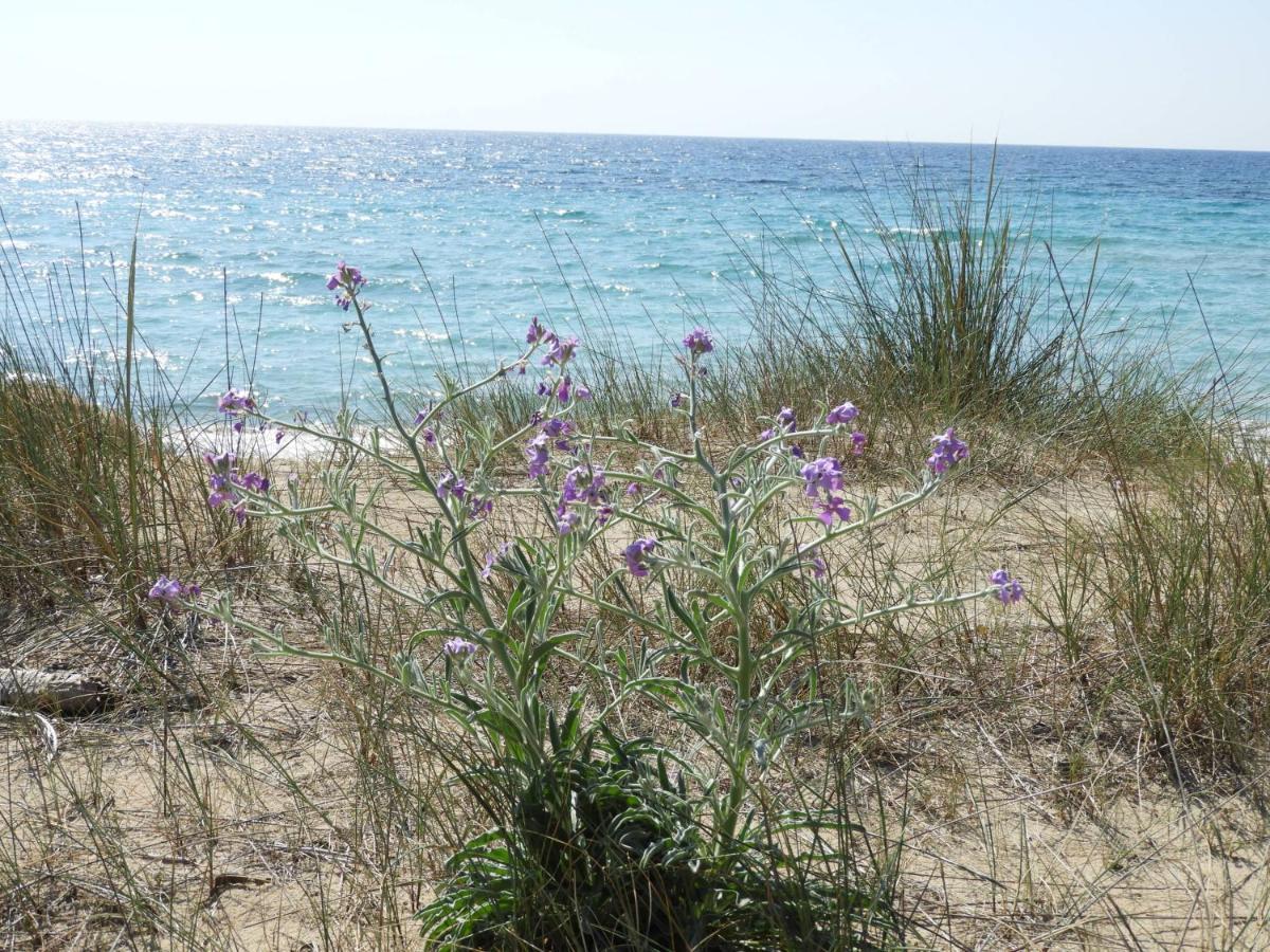 Esclusiva Suite Il Nido D'Amore Sul Mare Gallipoli Exterior foto