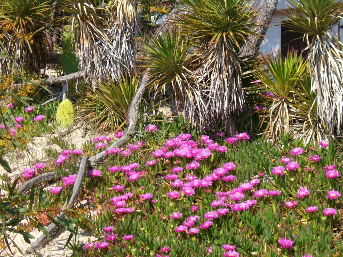 Esclusiva Suite Il Nido D'Amore Sul Mare Gallipoli Exterior foto